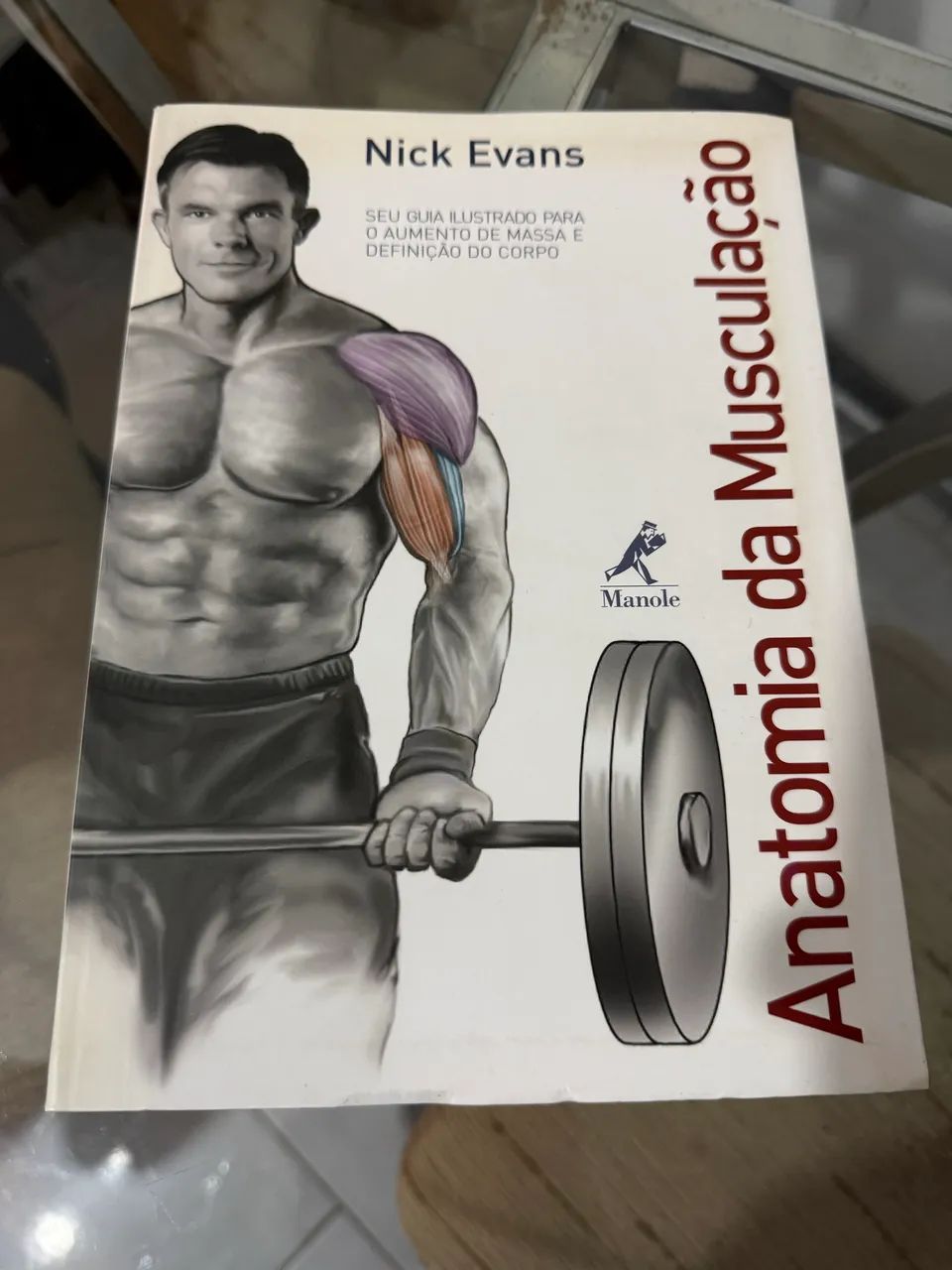 Anatomia da musculação 