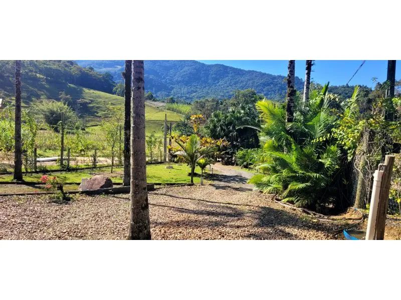 Sítio RODEIO - SC - Foto 2