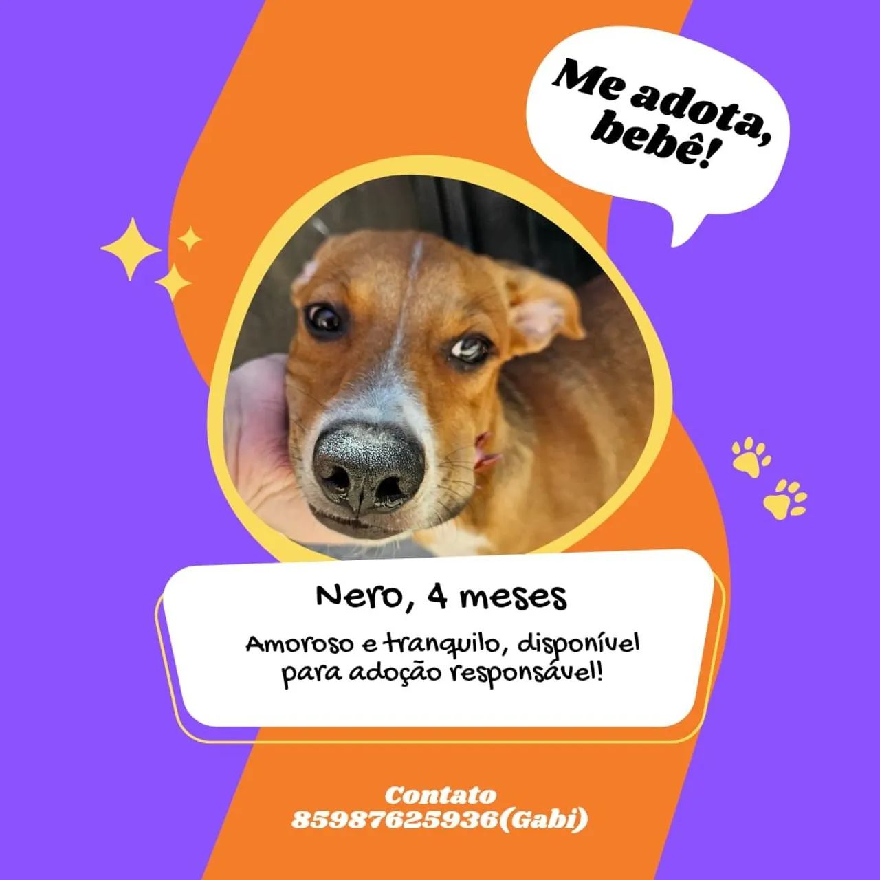 Filhotes para doação  - Foto 2