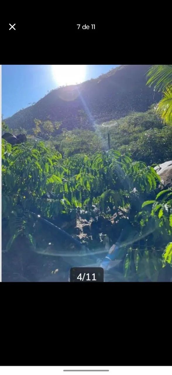 Sítio com 13.000 pés de cafe - Foto 5