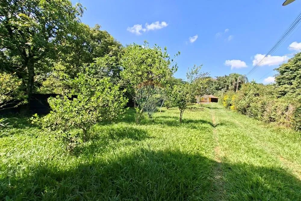 Chácara Exclusiva à Venda em Holambra/SP | Conforto, Natureza e Qualidade de Vida - Foto 5