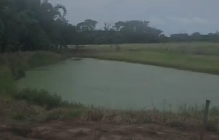 sitio com represa e quiosque reg de Jales - Foto 4