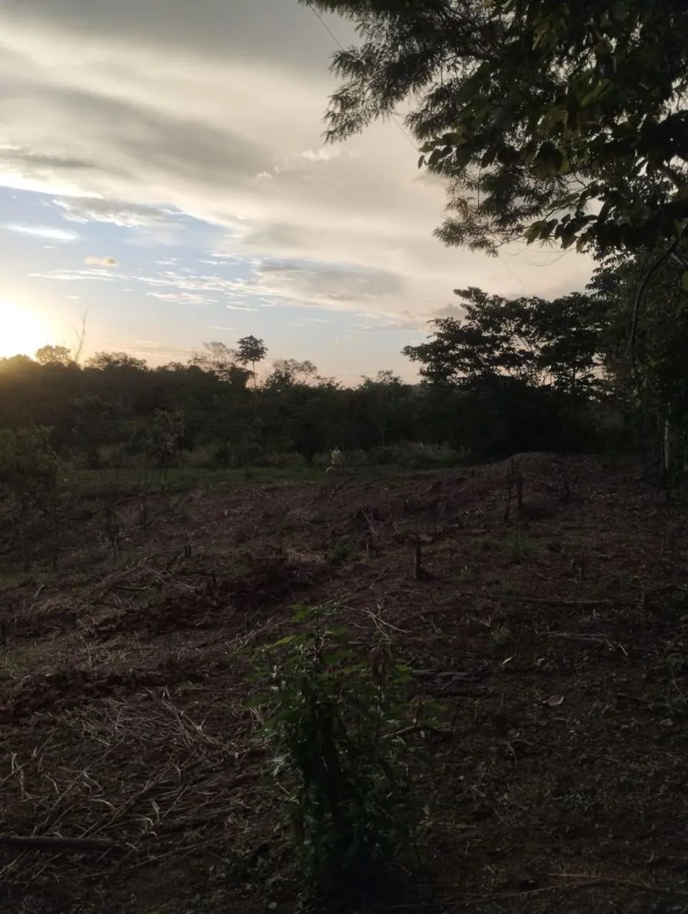 Vende-se ou troca chácara próximo a palmares II