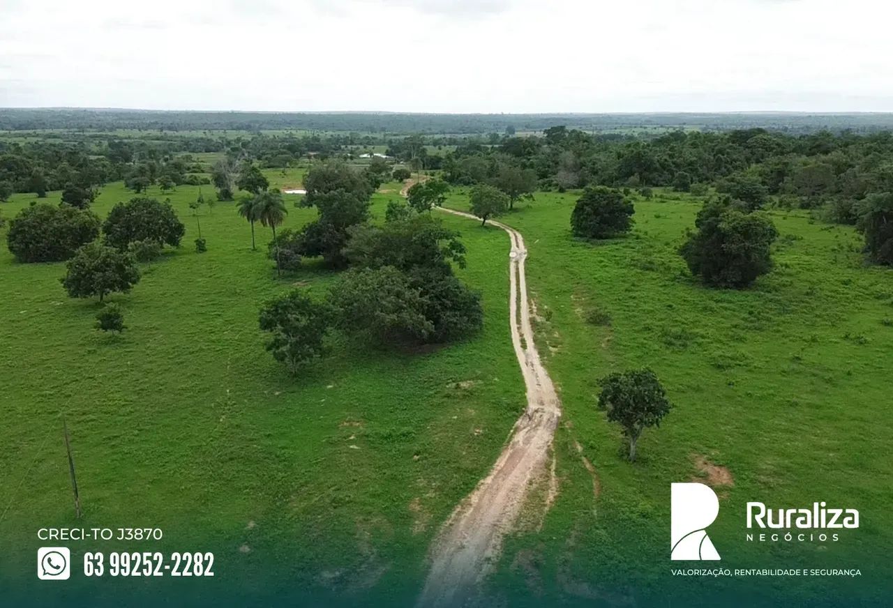 270 HA | 174 HA EM PASTAGENS | ESTRUTURA COMPLETA - Foto 4