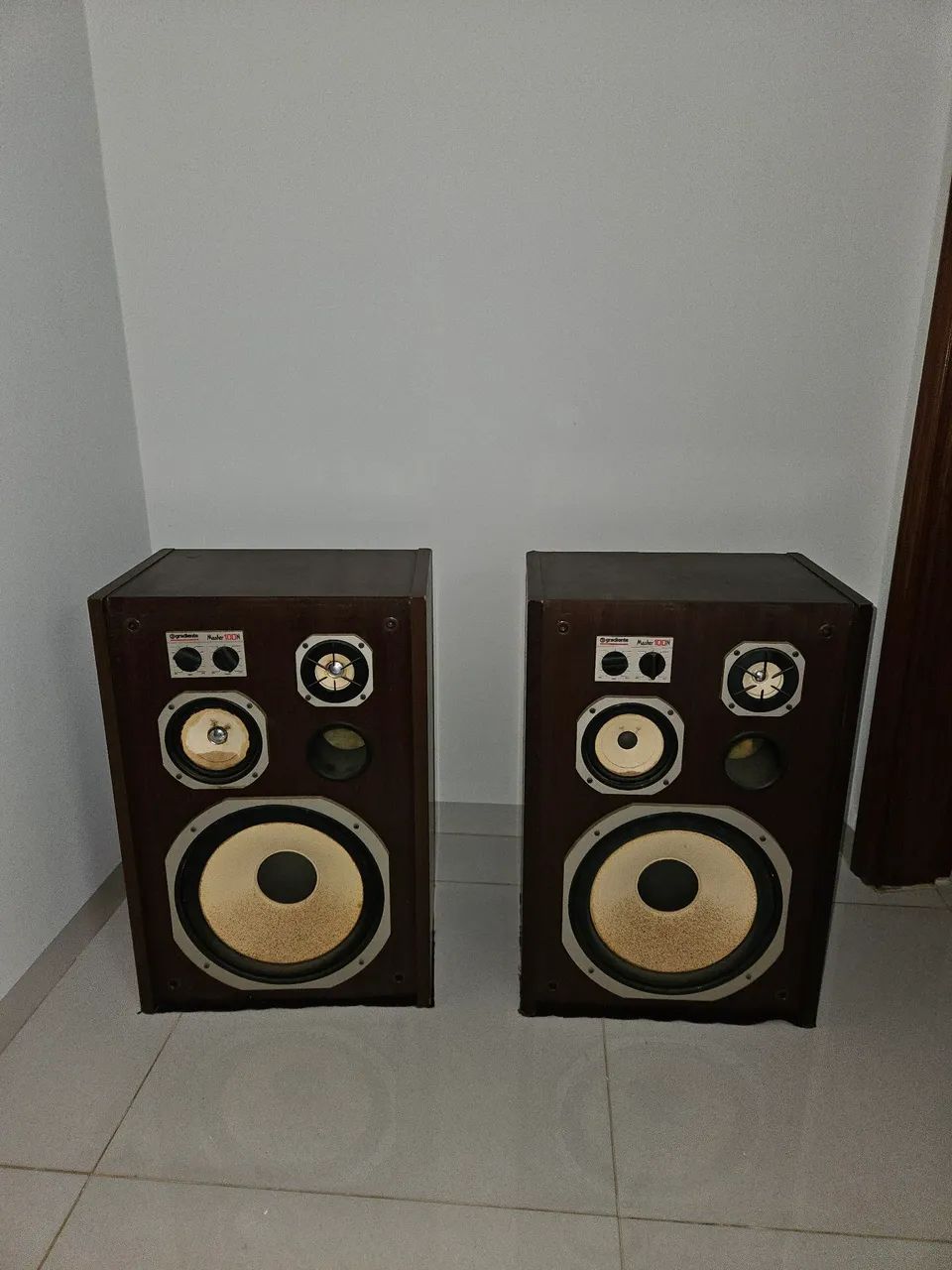 Caixas de som Gradiente 100N