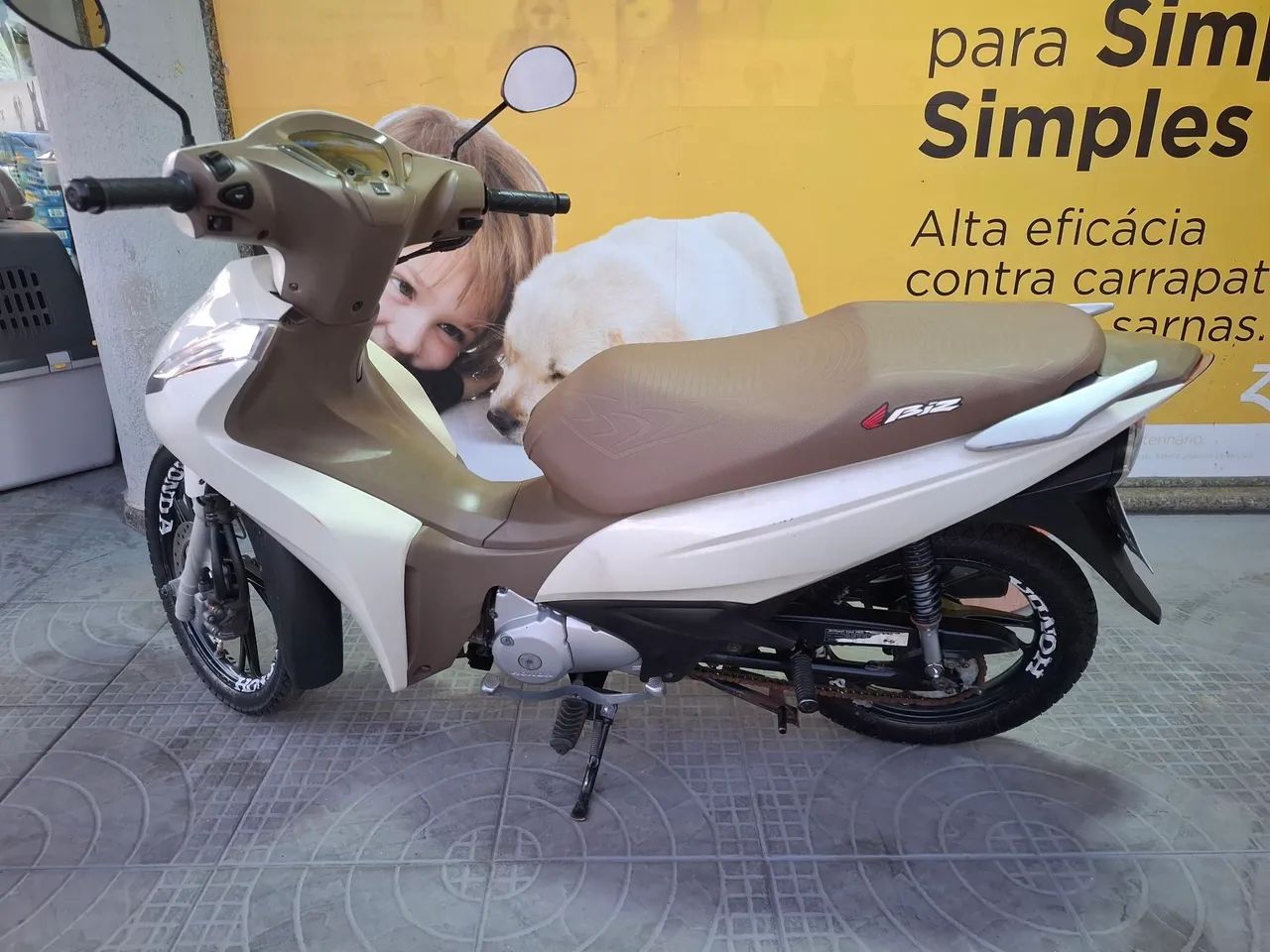 Biz  2021 - Foto 4