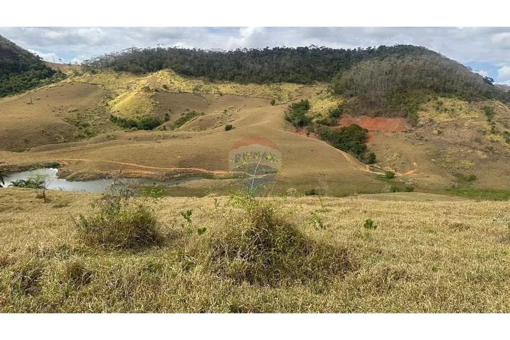 Fazenda completa em Leopoldina - Foto 5