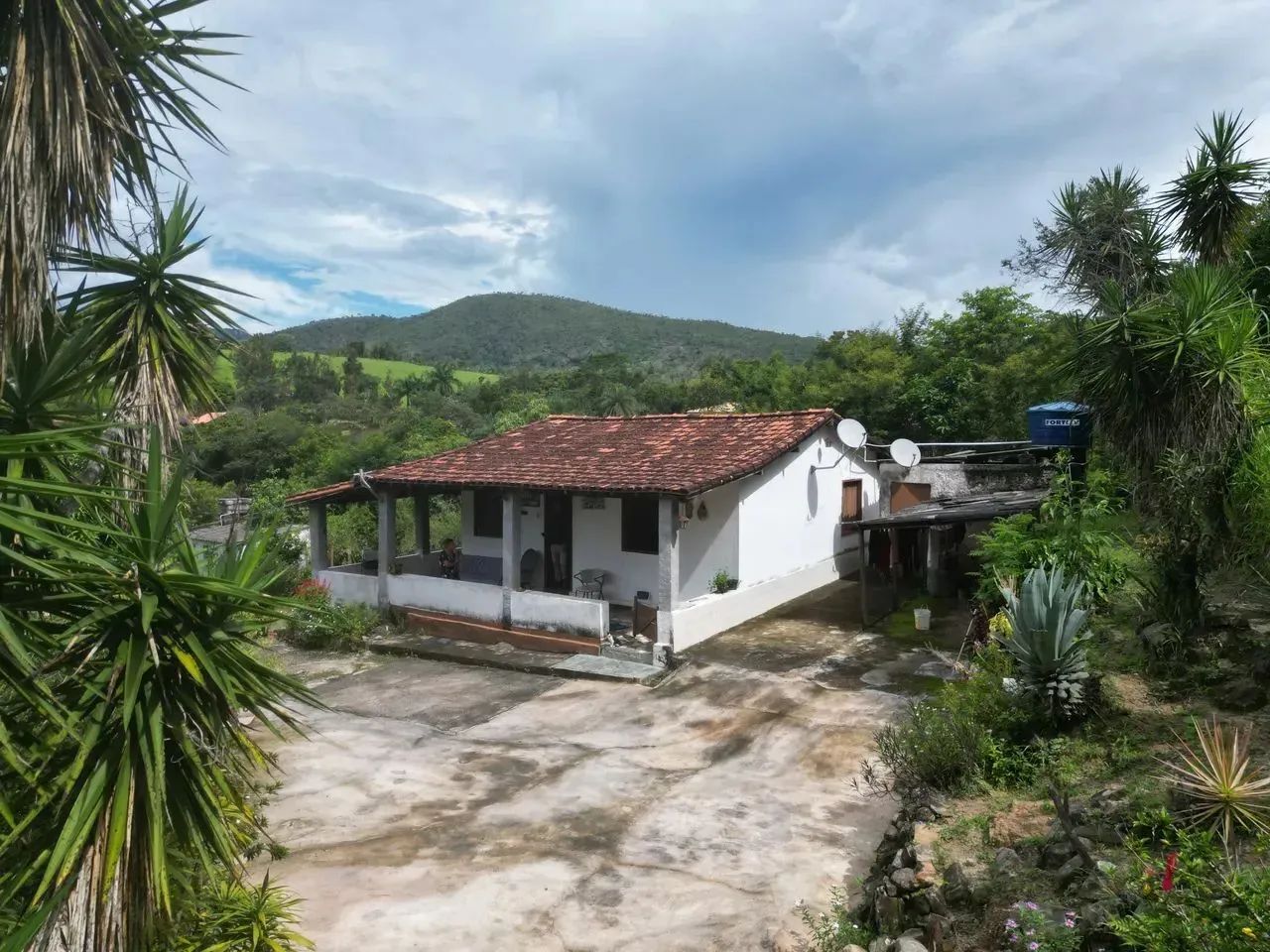 Oportunidade em Ravena: O Refúgio de Vó com Pomar Completo a 25 km de BH! - Foto 5