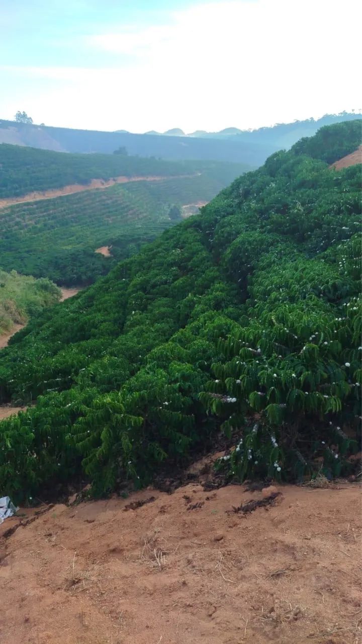 Terreno em Governador Lindenberg  - Foto 2