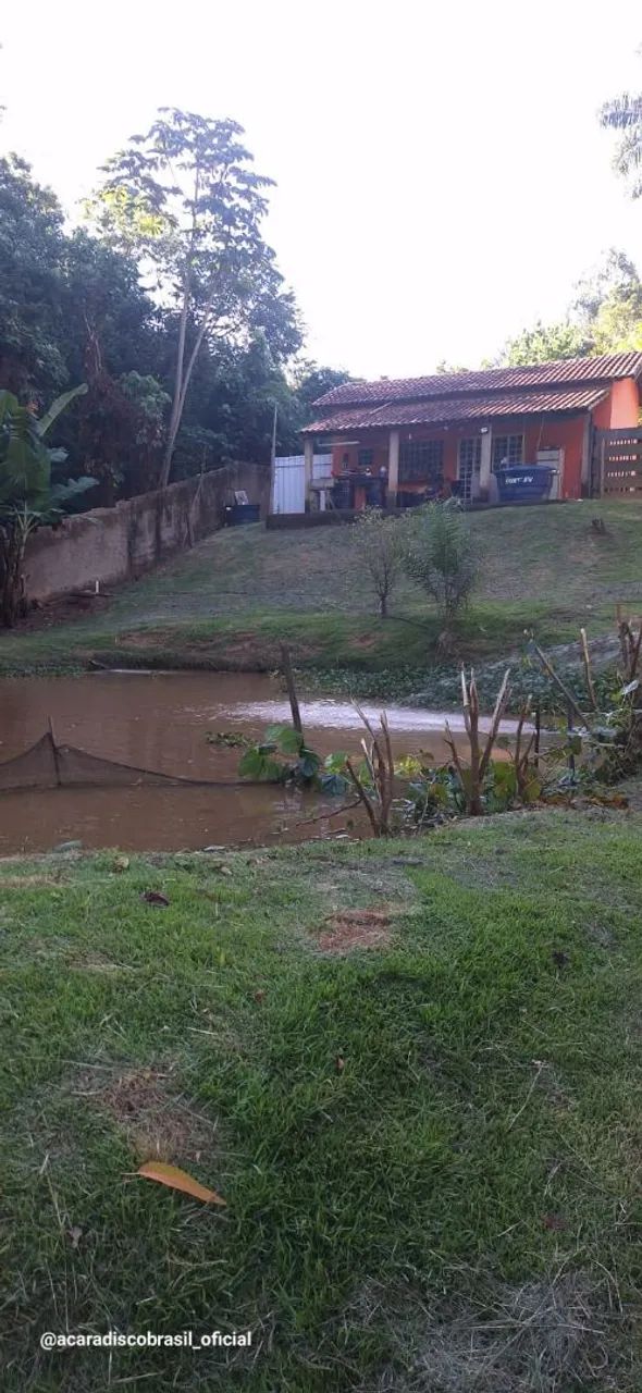 Chácara em Jacutinga MG rio no fundo - Foto 4
