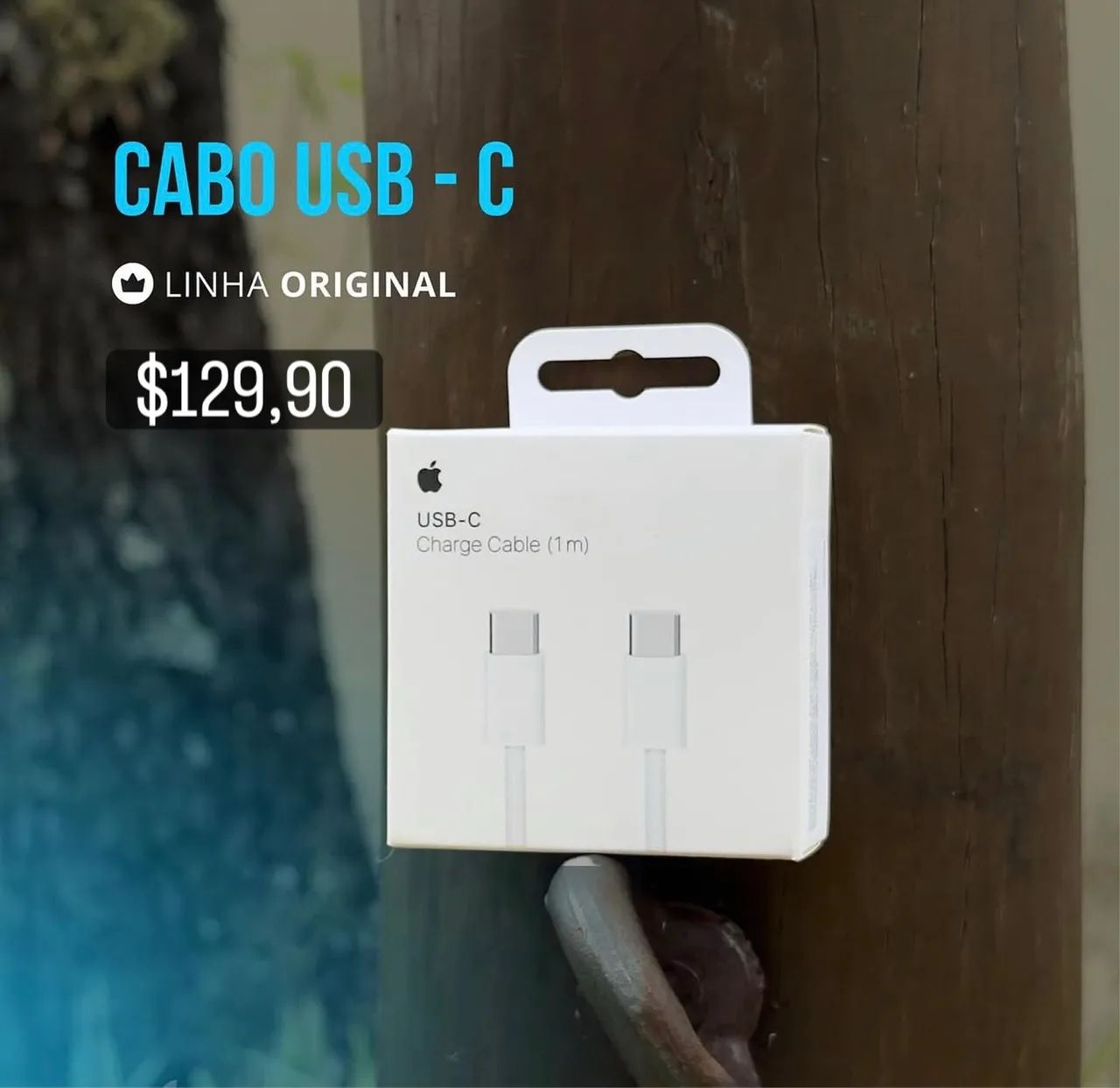 CABO APPLE ORIGINAL TIPO-C E LIGHTNING