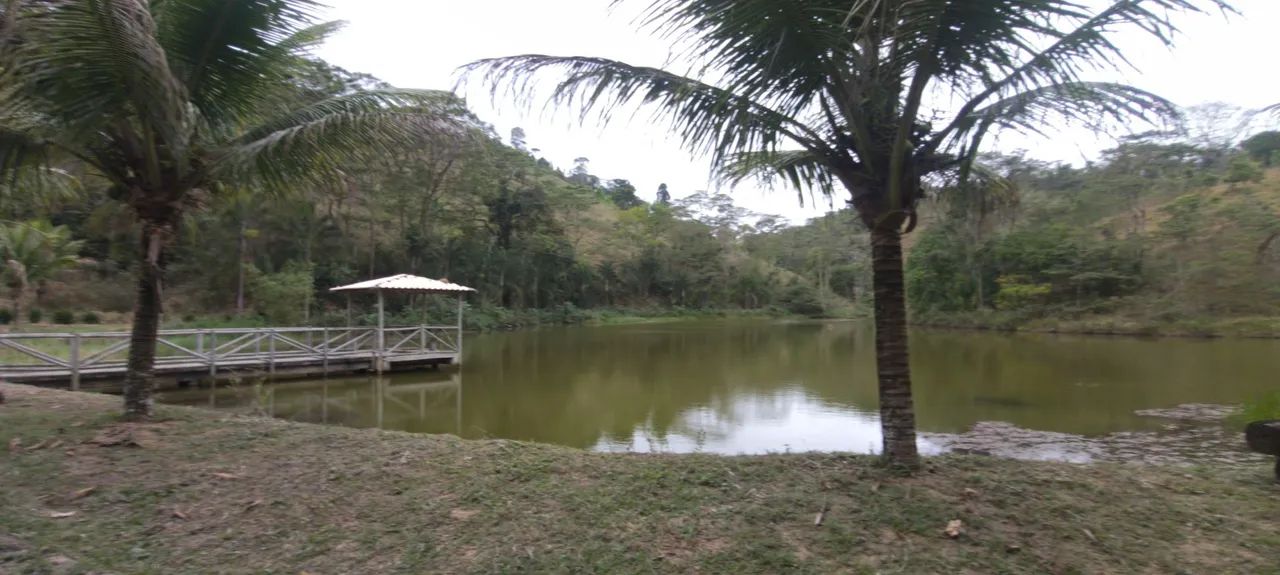 FAZENDA 