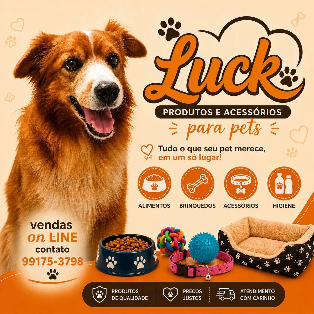 Produtos e acessórios para e gatos 