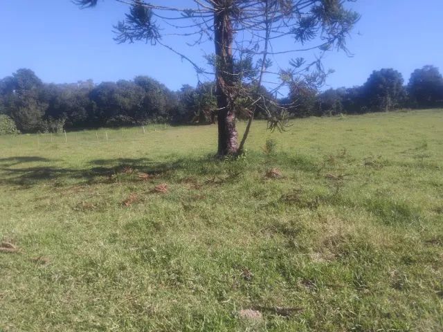 Lotes a venda!!! - Foto 4