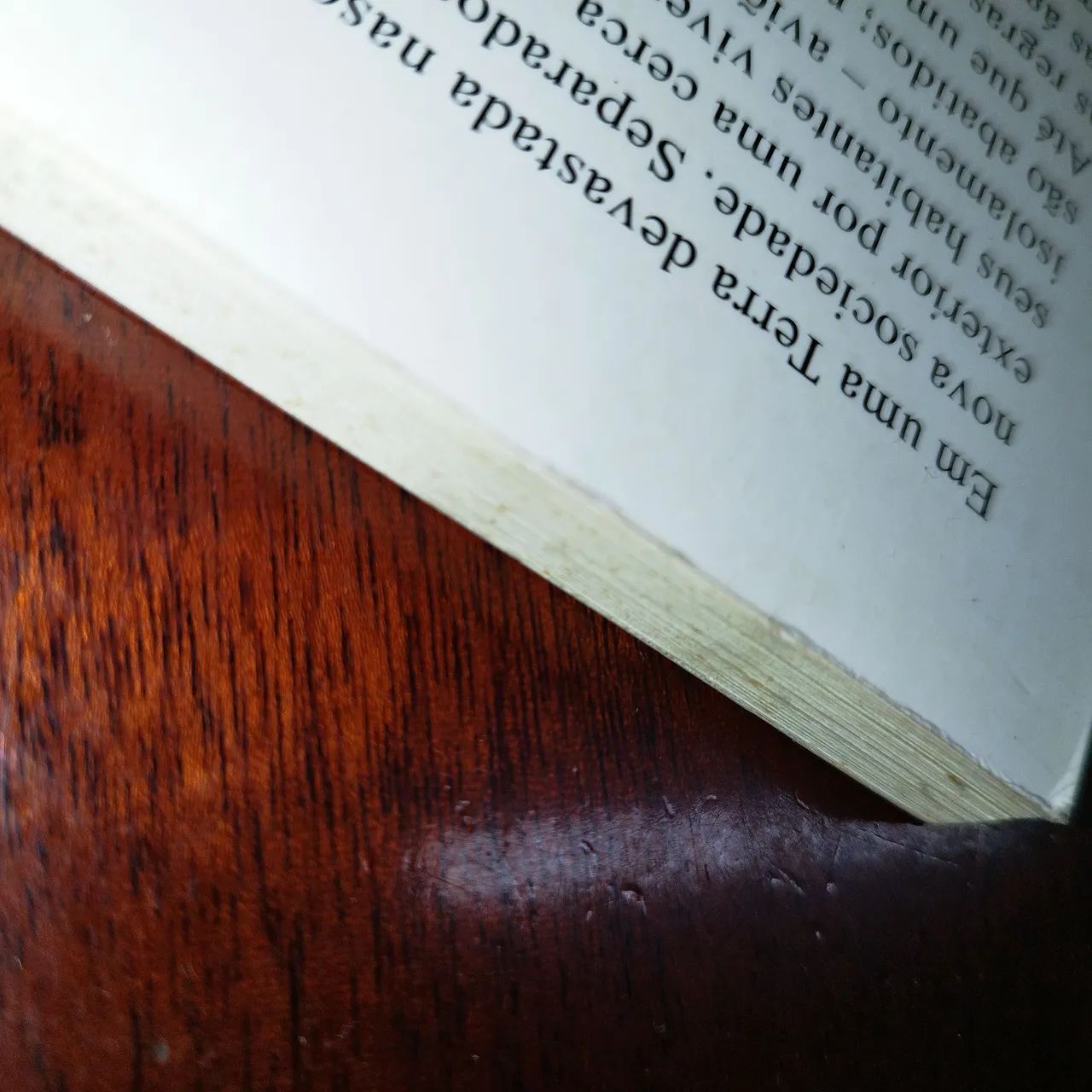Dois livros de Bernardo Beckett: Gênesis e O leitor. - Foto 3