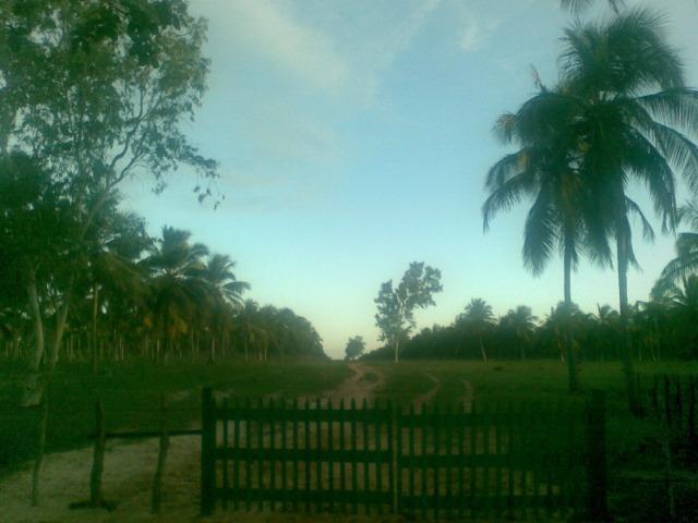 Fazenda 500ha - Foto 11