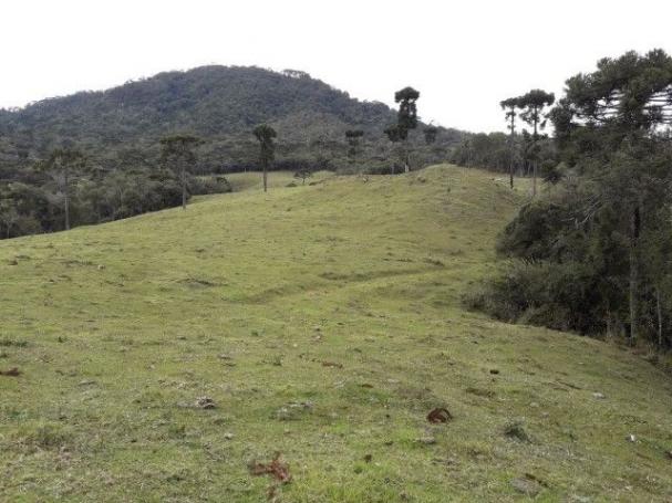 Sitios em Urubici - Foto 15