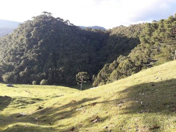 Sitios em Urubici - Foto 8