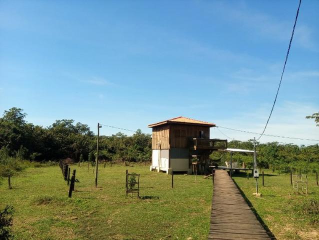 Pesqueiro no pantanal estudo troca