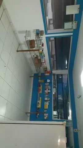 Vendo Essa Linda Fazenda - Foto 10