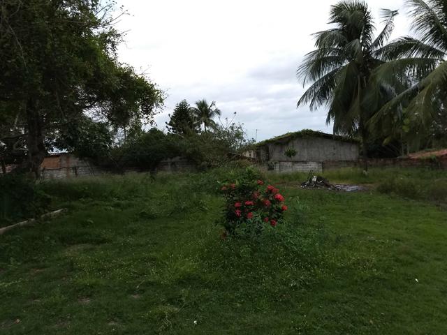 Alugo Chácara com casa