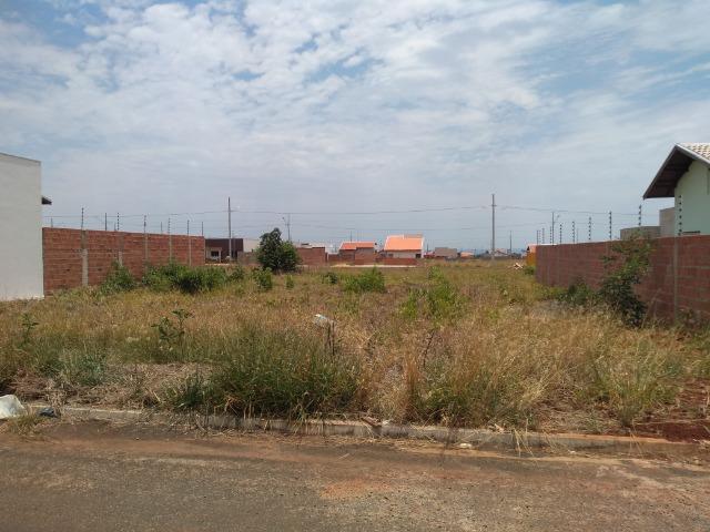 Terrenos quitados no Parque do Bosque (2 x 250m²) - Tangará da Serra - Foto 2