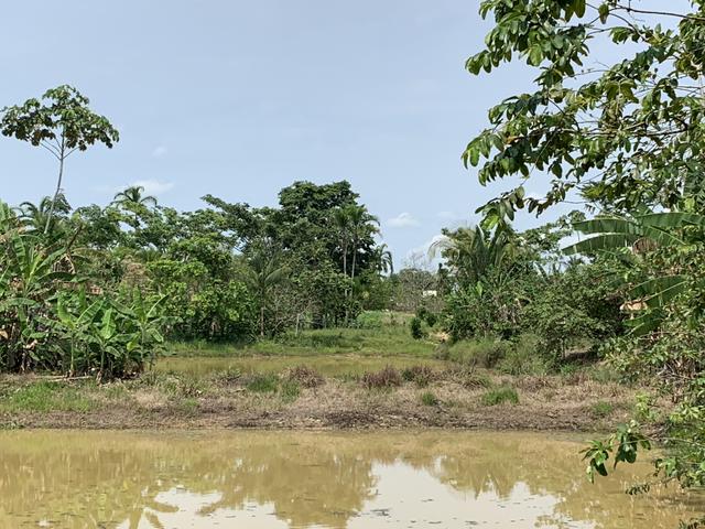 Chácara Ramal da Zeze - Foto 14
