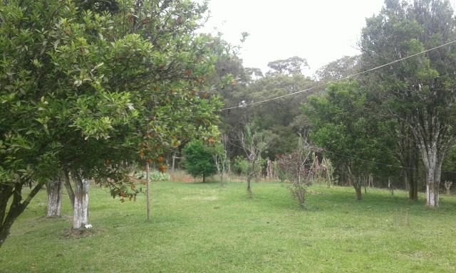 Vendo ou troco Chacara na Lapa por casa de menor valor em Curitiba ou Colombo - Foto 2