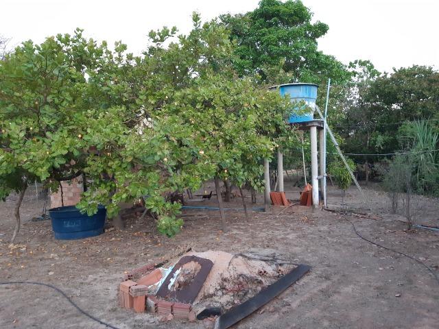 Chácara - Foto 11
