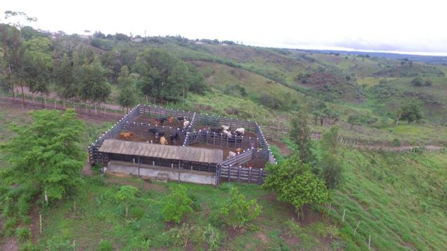 Fazenda ( Vendo ou Troco ) Propriedade Em Teotônio Vilela-AL - Foto 7