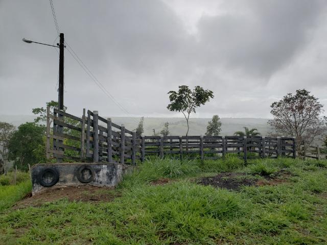 Fazenda ( Vendo ou Troco ) Propriedade Em Teotônio Vilela-AL - Foto 15
