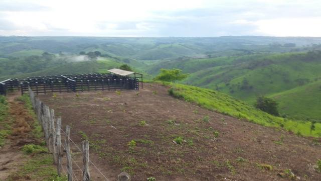 Fazenda ( Vendo ou Troco ) Propriedade Em Teotônio Vilela-AL - Foto 10