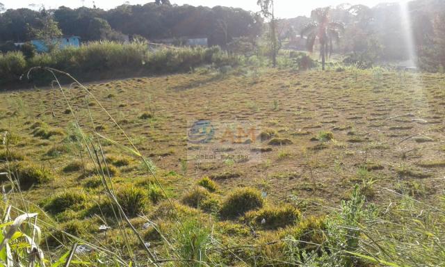 Área, Vila Gilcy, Campo Largo-PR - Foto 7