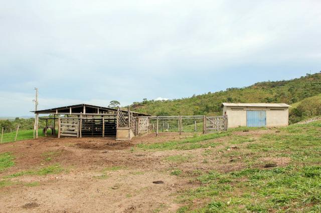 Linda Fazendinha (Fazenda) Toda Arrumadinha a 80 km de BSB - Foto 12