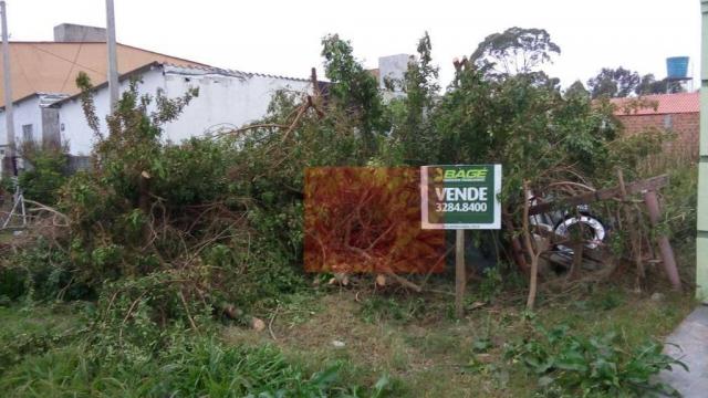 Terreno residencial à venda, Areal, Pelotas. - Foto 2