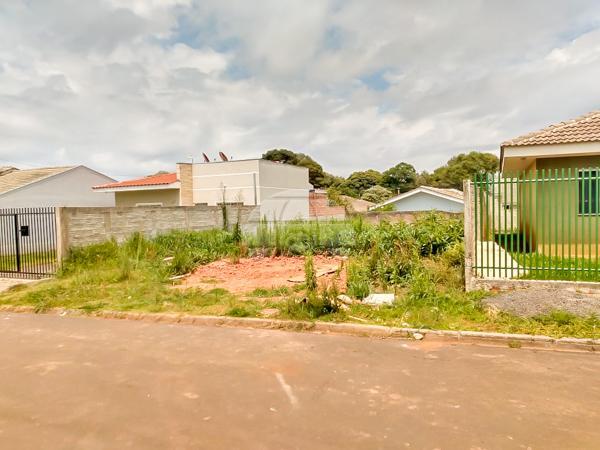 Terreno à venda em Boqueirão, Guarapuava cod:142236 - Foto 2