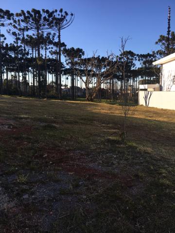 Terreno em Condomínio fechado - Foto 4