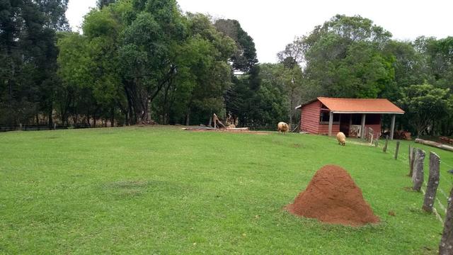 Chácara com 64.208m², com 2 casas a 4 km do Centro de Balsa Nova - Foto 4