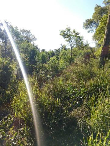 Terreno 3 alqueires próx: são Mateus do sul - Foto 3