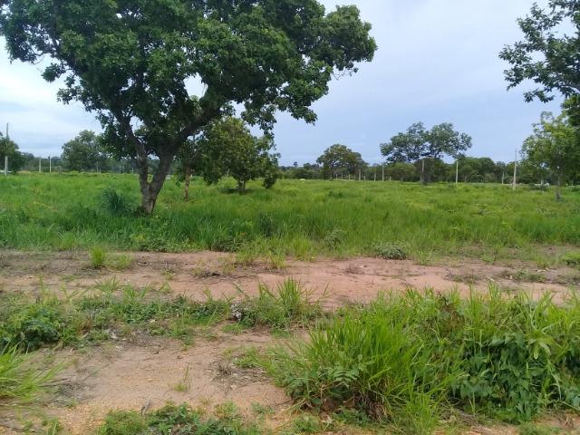 Ágio de lote a venda Nova Flamboyant Palmas
