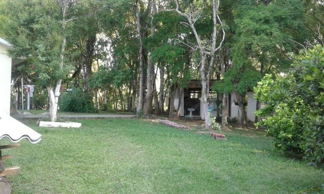 Vende-se chácara em Anta Magra - Quitandinha (cód. A354) - Foto 17