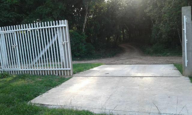 Vende-se chácara em Anta Magra - Quitandinha (cód. A354) - Foto 12