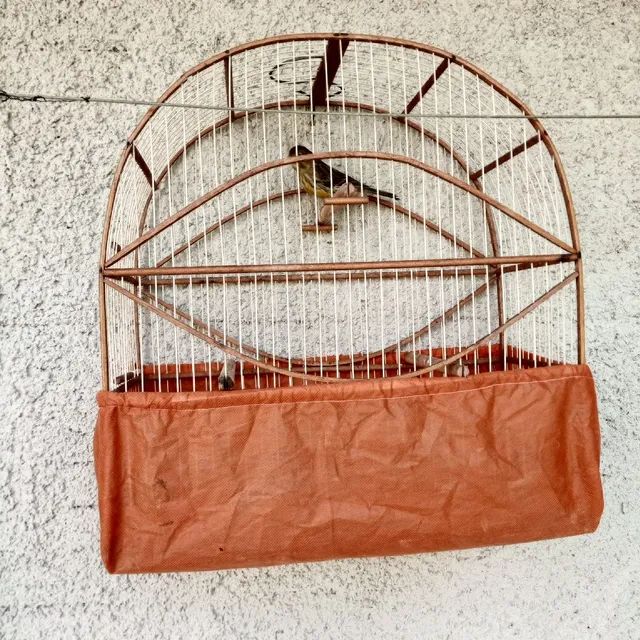Gaiolas - Foto 3