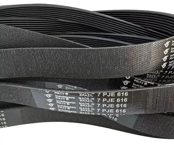 Correia tanquinho suggar 3jma911  - Foto 2