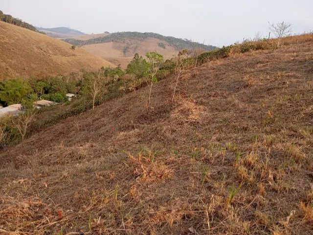 foto - Juiz de Fora - Cerâmica