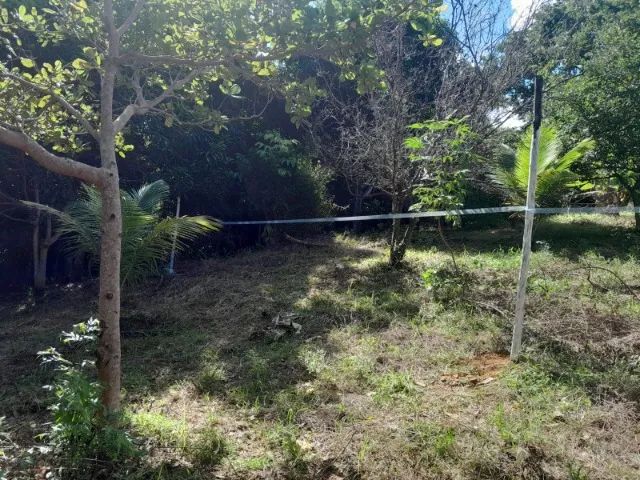 VENDO ÁREA PARA SÍTIO OU VILLAGE 57X55=3.135m² MURADA NA FRENTE - Foto 6