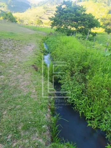 Fazenda de 10 hectares com ótima casa sede em Santana do Mundaú - Foto 4