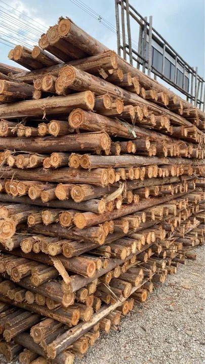 Escoras de 3m para laje - 6,99 - Foto 2