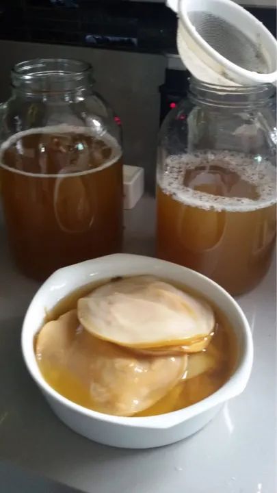 Doa-se Kefir de água, de leite, iogurtes infinitos e kombuchá - Foto 4