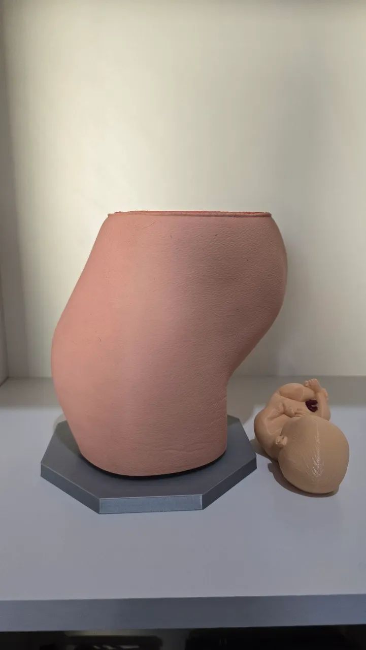 Modelo Anatômico: Sistema Reprodutor Feminino - Foto 3